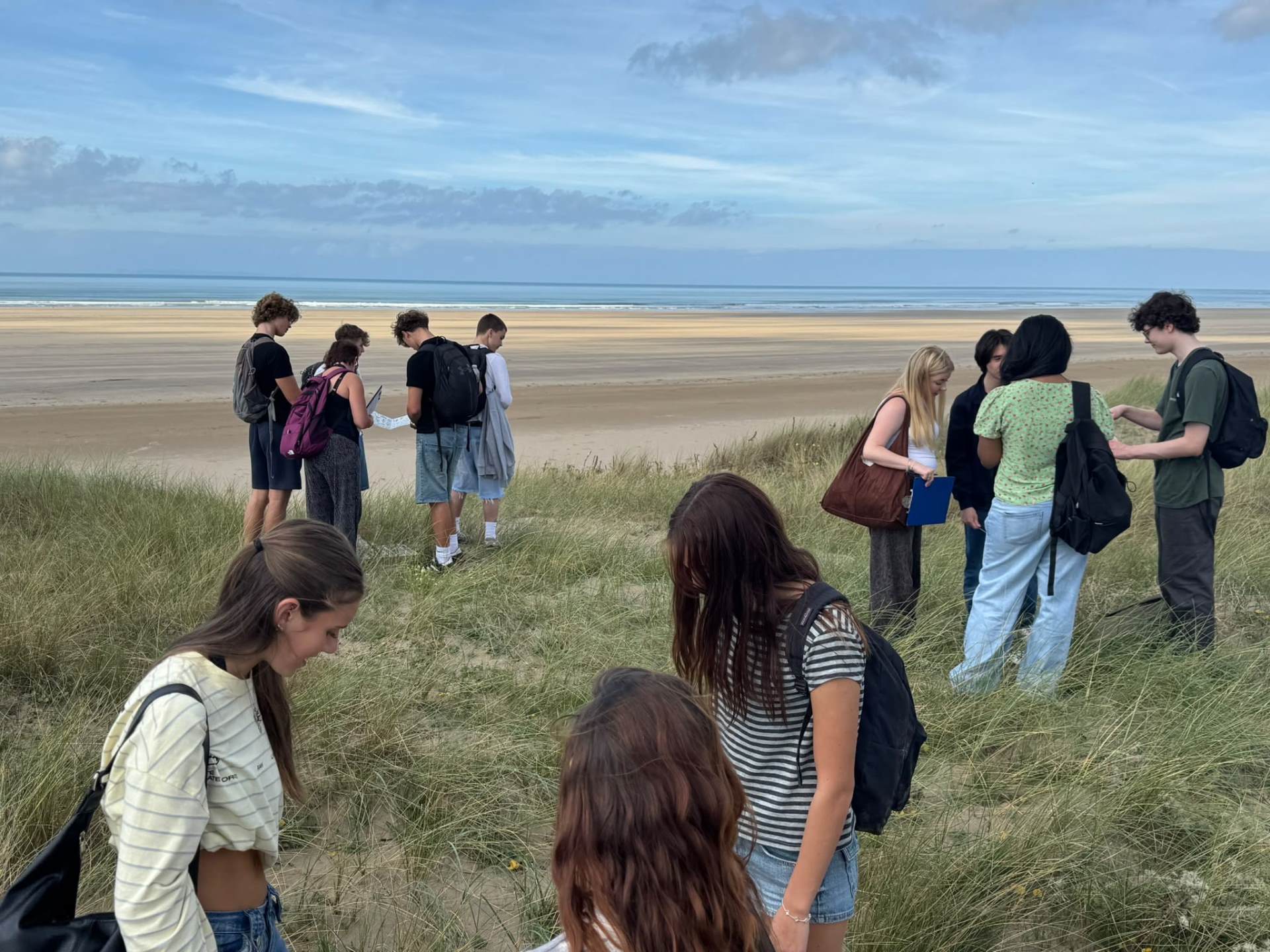 A Level Biologists Bring Ecosystem Succession to Life – photo 3