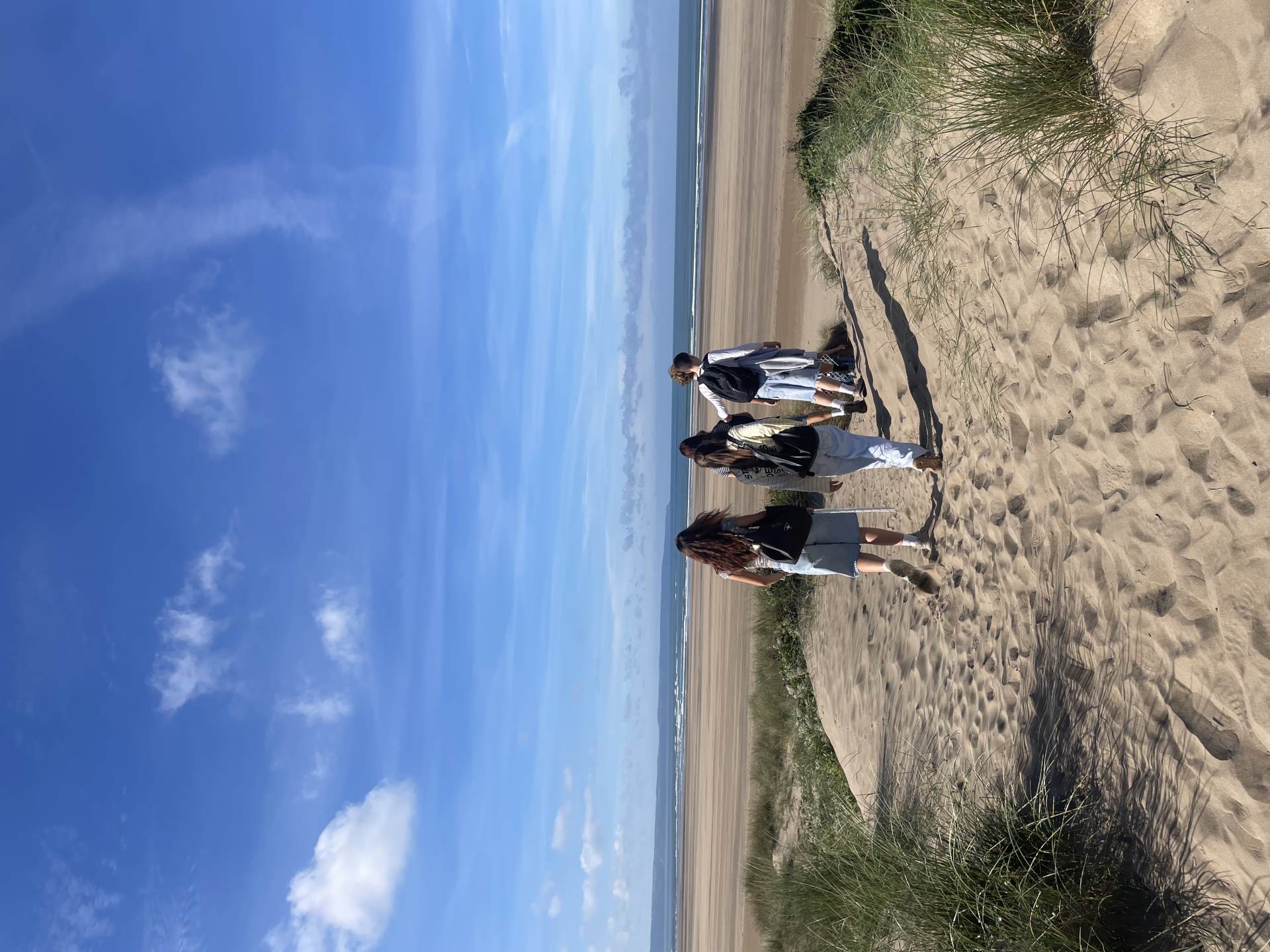 A Level Biologists Bring Ecosystem Succession to Life – photo 6